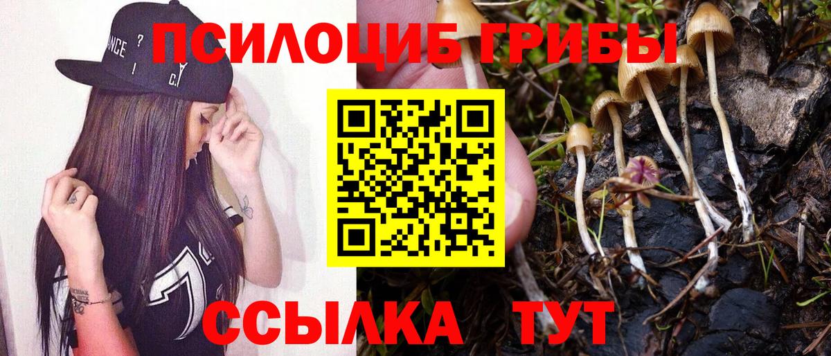 как найти наркотики  Псилоцибиновые грибы Psilocybe  Галлюциногенные грибы GOLDEN TEACHER  Вход с VPN  Барабинск 